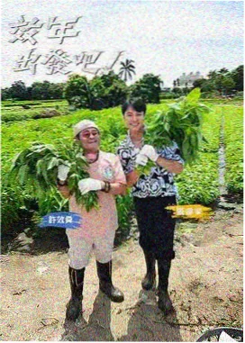 选秀综艺